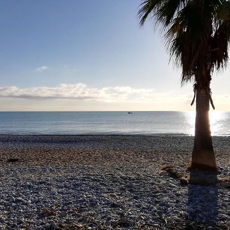 Appartement 2P Et Parking Prive A 50M Des Plages. Villeneuve-Loubet Buitenkant foto