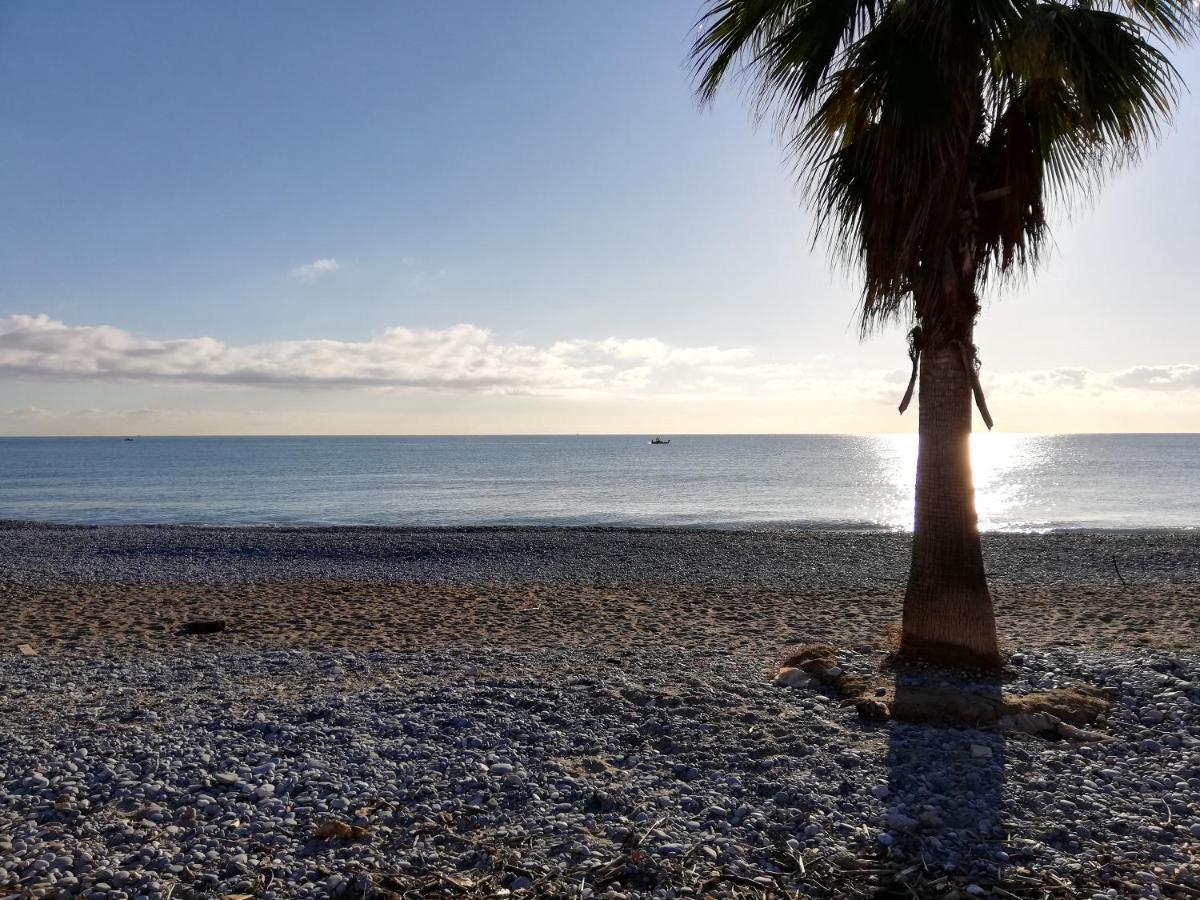 Appartement 2P Et Parking Prive A 50M Des Plages. Villeneuve-Loubet Buitenkant foto